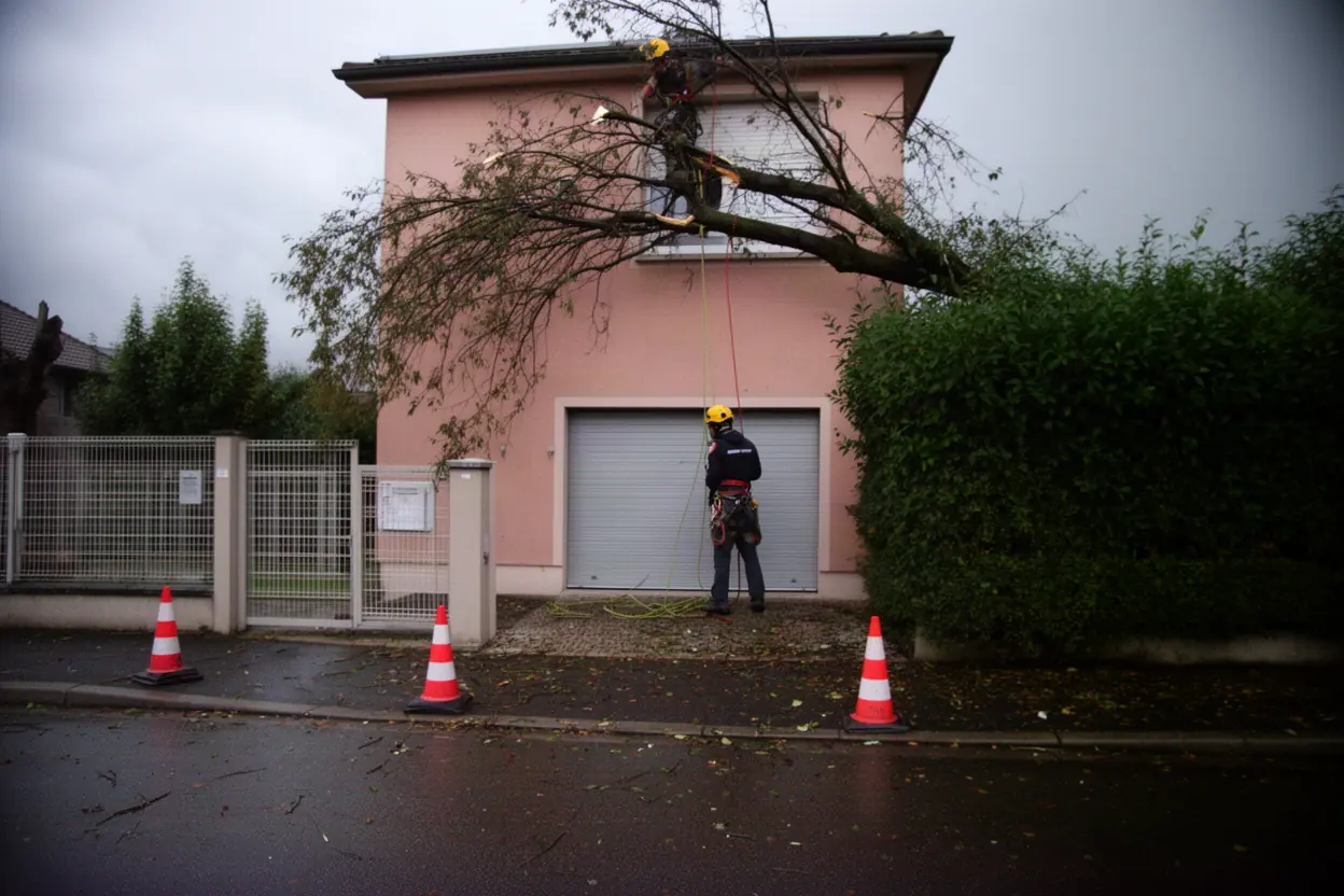 Élagueur sécurisant une branche dangereuse à Pfastatt